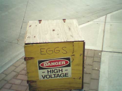 Picture of a high voltage box with the word eggs written above the warning